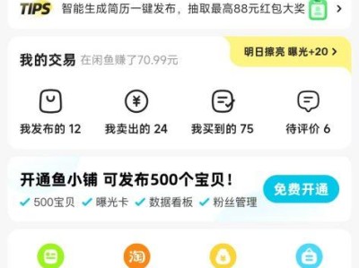 闲鱼CY粉,项目粉流量打法